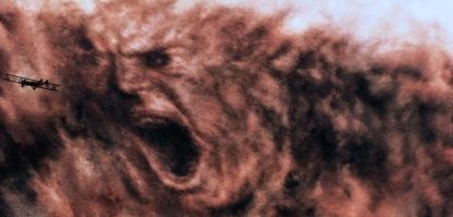 "Все, пробили эту фигню": пассажиры сняли на камеру приземление самолета в пыльную бурю