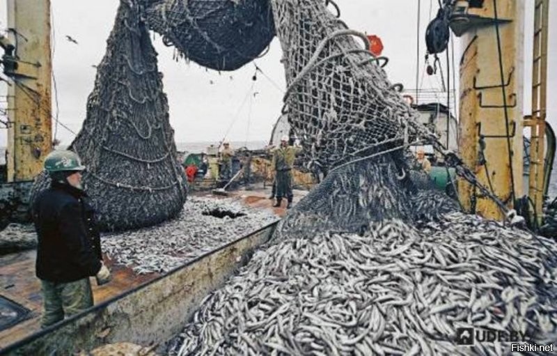 скорее всего это промысловик. ни кто ж не возмущается такими фото, а ведь рыбаку и за всю жизнь столько рыбы не съесть