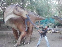 У нас как-то приезжала похожая выставка. За качество фото простите: давно это было. Много фотографий ещё потерялись...