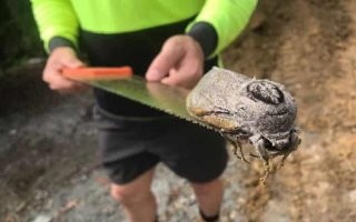 Говорят, недавно в Австралии её поймали):