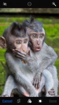 Очередной блок позитива  