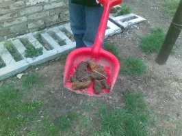 А что, на тарелке нельзя было?