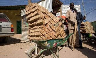 Сколько? Зимбабвийские доллары не стоят даже бумаги, на которой напечатаны