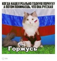 Смешные и познавательные картинки