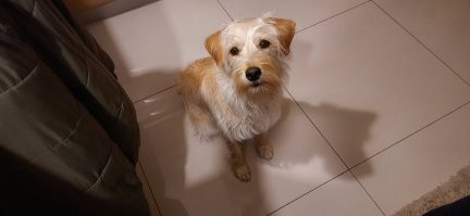 Я держусь, дети тоже, а муж устоять не может. Любит его больше всех.