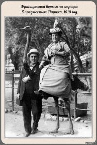 Птичку .... жалко ...