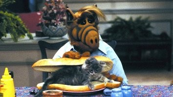 Как-то двояко звучит от Альфа.