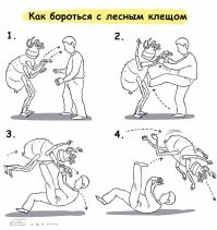 Памятка для защиты себя и близких от клещей во время сезона шашлыков и походов