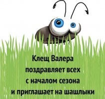 Памятка для защиты себя и близких от клещей во время сезона шашлыков и походов