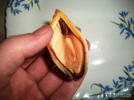 Это смотря какая