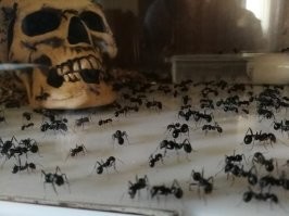 она с радостью тебя примут