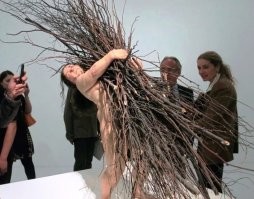 Почему в США и Канаде запрещают собирать дождевую воду?