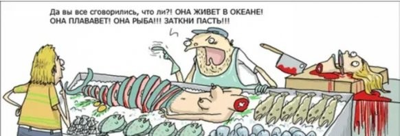 Смешные комментарии из соц.сетей