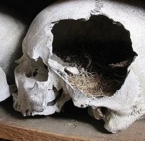 Смешные комментарии из соц.сетей