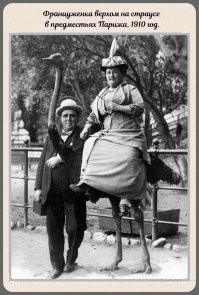 Страуса жалко