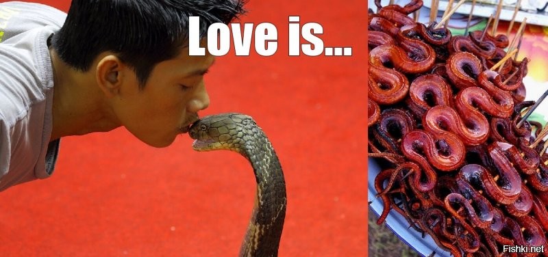Азиаты доказали - змей нужно не бояться, а научиться готовить.