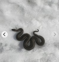 29 марта 2021 в Санкт-Петербурге