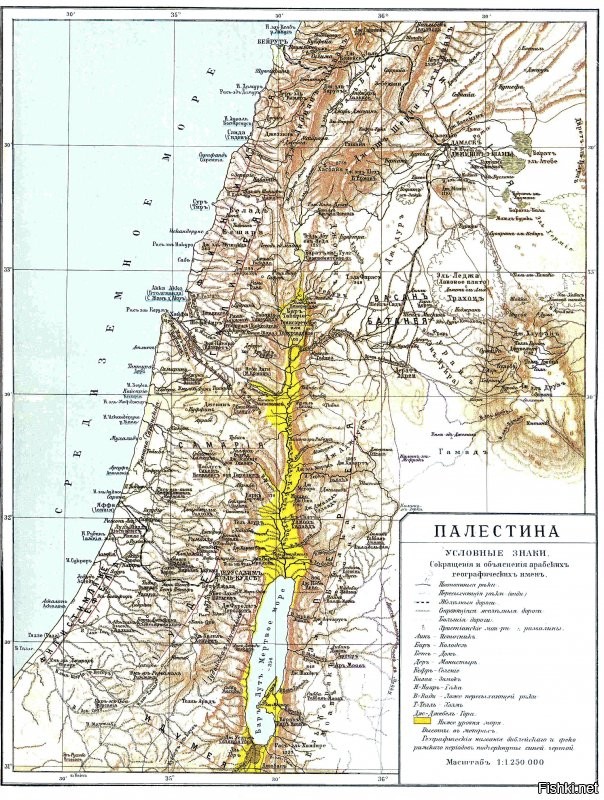 Во-первых, карта Британского мандата в Палестине выглядит по-другому.
Во-вторых, это карты территорий, а не стран. Страны Палестины не было. "Палестина" - это название исторической области, которая включала также части современных Иордании, Сирии, Ливана. Так требуйте у Иордании возврата исторических земель палестинцам, почему нет?
Чтобы Израиль смог украсть земли у Палестины - сначала на карте мира должна появиться страна с таким названием, а её не было. 
Вы всё правильно процитировали про ООН и про 1947 год. Арабы отказались создавать такую страну - вот Вам причина конфликта.