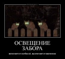 15 животных, которым плевать на все эти ваши запреты