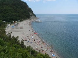 Каждый год, как минимум на месяц, я отправлял дочерей на Черное море.
Пионерлагеря.
Простые, не пафосные.
Однажды отправил в "Орленок" под Новомихайловкой - цена вдвое дороже обычного лагеря, но - ничуть не лучше. Детям не так важно, на каком Месредесе ездит директор лагеря.
Отправлял по 2 смены подряд. Лучше - три.
Старался отправить в Прасковеевку (Геленджикский район, рядом с дачей Патриарха)
Там нет никаких крупных поселков вокруг, сплошные горы с хвойно-лиственным лесом.
Очень хороший воздух, гораздо лучше Анапы, которая стоит "на комарином болоте" в знойной степи.
Еноты. Дети кормили и фоткались с ними каждую смену. Жили в домиках, не в 3-х этажных корпусах.
Зимой дети практически НЕ БОЛЕЛИ - запаса здоровья хватало.
По крайней мере, жена на больничных с ними не сидела, и школу не прогуливали.
Ни разу.
Если вам важно ЗЛОРОВЬЕ детей - рекомендую ПРОСТОЙ и НЕПАФОСНЫЙ отдых на Черном море.
Не рассматривайте Сочи и сам Геленджик - цены заоблачные.
Ищите попроще - качество будет выше.