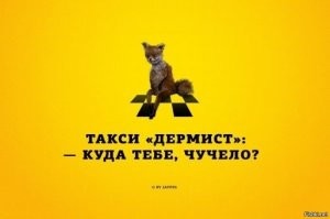 Когда таксидермист — не твое призвание 
