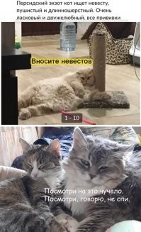 Смешные и познавательные картинки