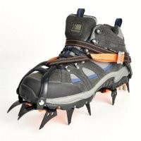 Что делать, если вы встретили змею?