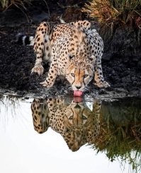 не надо маленьких дурить!