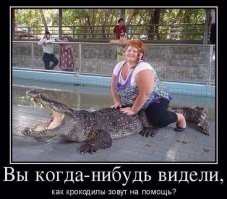 Вечерний сатирический винегрет 