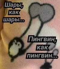 Скрины из соцсетей