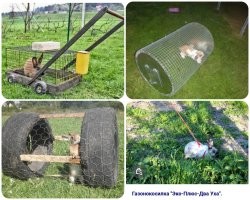 Демотиваторы: о погоде, дорогах и зверях 