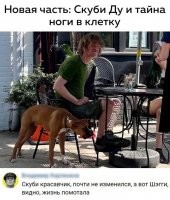 Ничего себе Скуби не изменился, он же вроде догом был.