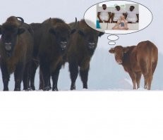 Фотоподборка