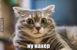 18 крышесносных снимков, от которых точно закружится голова