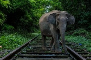 А ведь я догадывался...