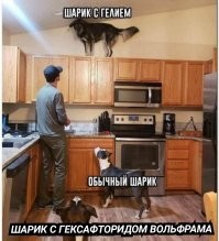 Смешные комментарии из соц.сетей