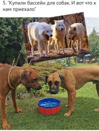 40 примеров того, как нагло обманывают покупателей в Интернете