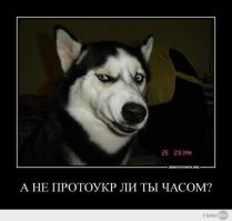 Появилось первое видео задержанного в Минске основателя издания Nexta