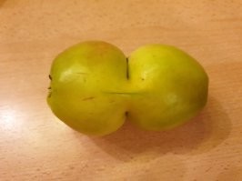 Вот такое вот яблоко попалось мне...