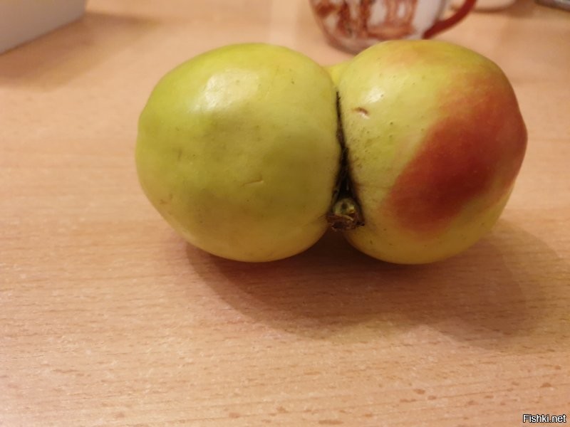 Вот такое вот яблоко попалось мне...