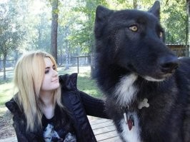 Она бы еще к дереву стала,собака была бы динозавром.