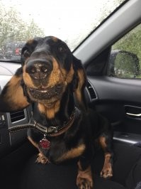 Чё это вы тут делаете?