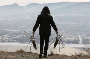 У нас в Сибири комары такие же...