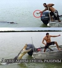 Жизненные истории на позитиве