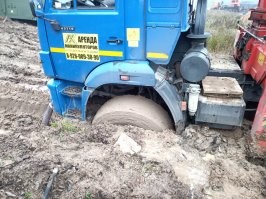 Эх... Нам бы такую собаку...