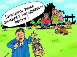 Весёлые истории о нас