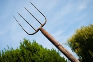 Уезжай обратно в свою тундру, опухший олений член!