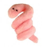 Мягкая игрушка «Сифилис (бледная трепонема)», GiantMicrobes 350 р.