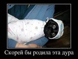 Дебил! Я так тоже думал: "Скорее бы уже в школу!... Скорее бы уже работать!"