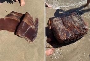 Это не листья. Автор вообще видел гивею?  
На фотке как раз-таки сырой каучук. Из сока каучукового дерева (она же гивея бразильская) его получают в виде пластичной массы, которую затем прокатывают на вальцах в ленту. Вот эти ленты потом прессуют в такой кубик и в таком виде перевозят.

А листья совсем другие и в производстве нахрен не нужны...